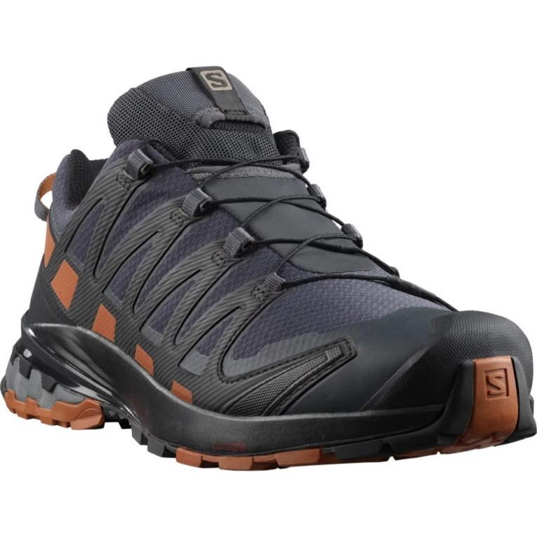 Tenis Para Trail Running Salomon Xa Pro 3d V8 GTX Hombre Azul Marino | MX PIRT246